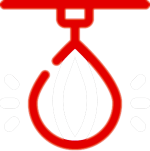 Главная Парная тренировка